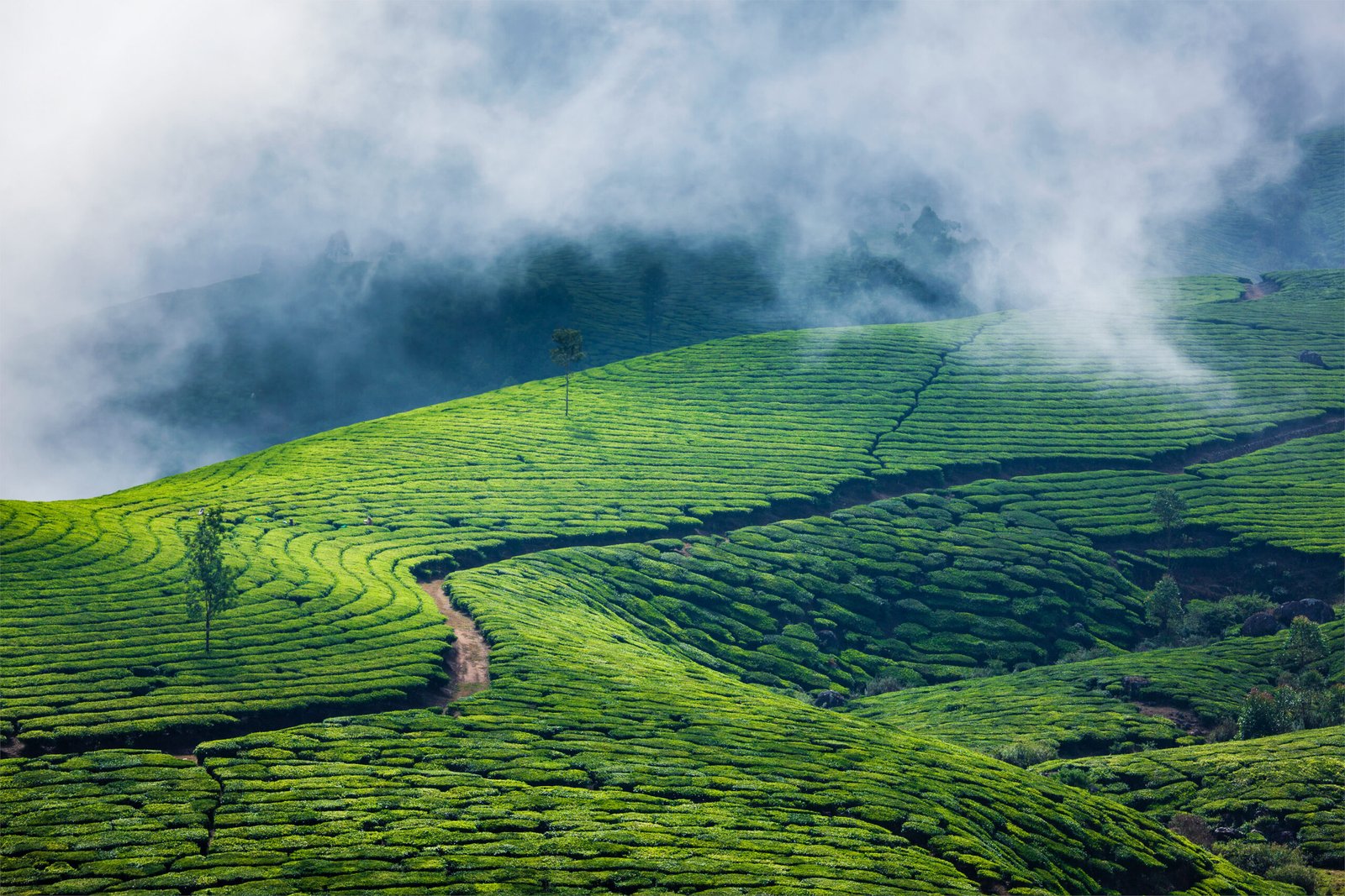 Munnar Package