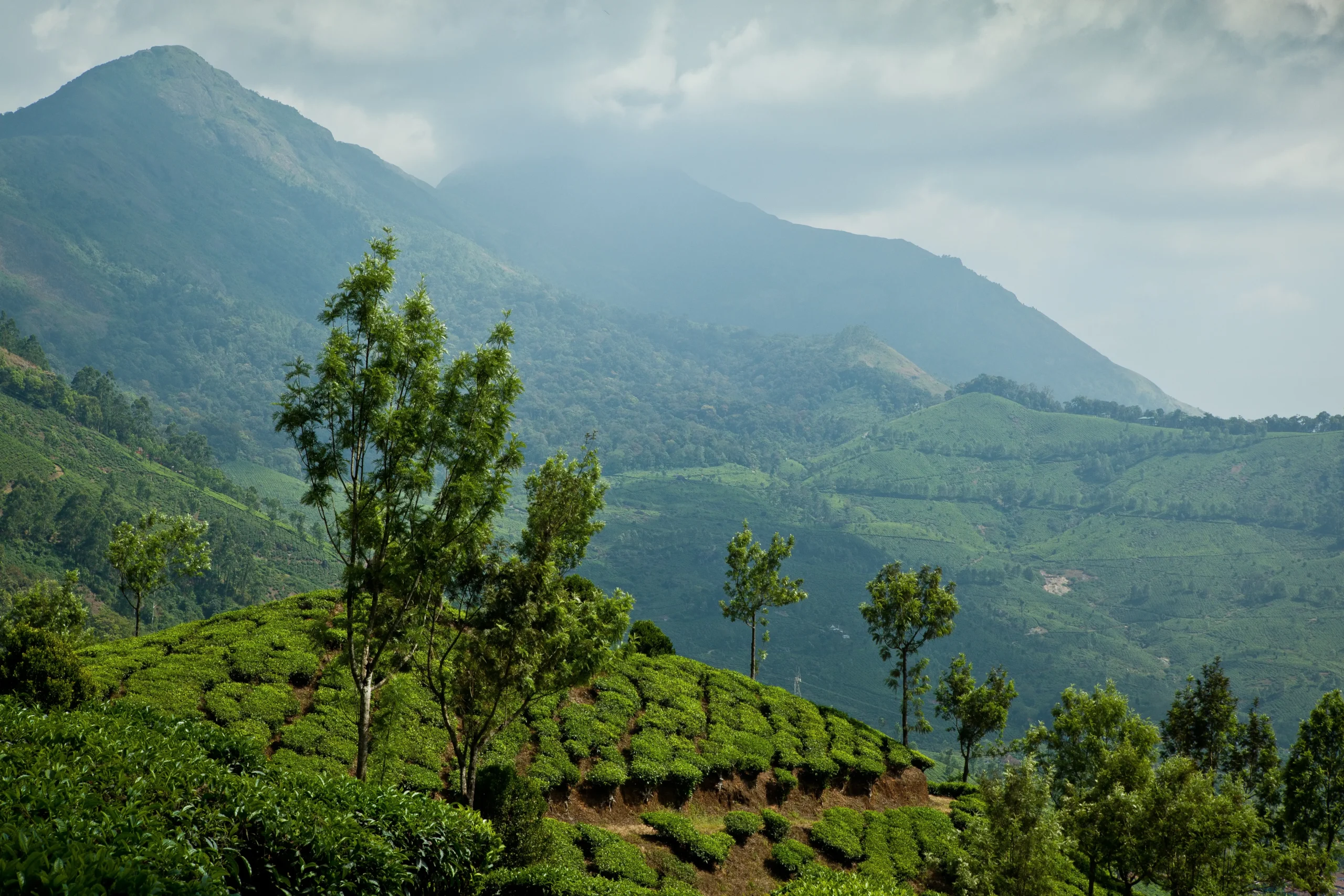Thekkady